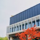 다시뛰는 대구힐링 프로젝트 | [대구팔공산카페]강호애 살어리랏다 "커들포드" 솔직 후기