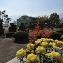 구례북중학교 이미지