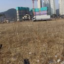 [김해 주촌, 선천지구토지매매] 김해시 주촌면 천곡리 134평 토지 매매 이미지