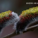 강릉OK스크린골프 네이버블로그