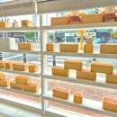 양덕동197 이미지