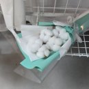안산 중앙동 꽃집 꽃블리 추천