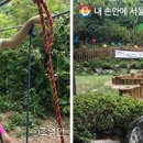 초안산캠핑장 이미지