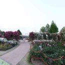 곡성-147 이미지