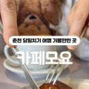 모요 이미지