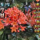 2021년 9월 3일 입고 소식~ 이미지