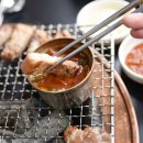 제주도야지 이미지