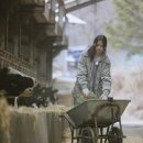 혜인농장 이미지