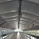 딸기밭 부농 이미지