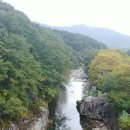 사과향기캠핑장 이미지