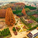 입장료 0원인데 이런 정원이라니" 3만 평이 전부 단풍빛 가을 힐링 명소 이미지