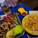 가맥노가리호프 이미지