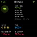 수영114 이미지