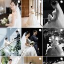 스타시티아트홀 오브로즈 본식스냅 &amp; 4K라이트 DVD 예약후기