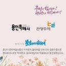 빙고마켓 - 용인시 처인구 금령로99번길 13 | 빙고마켓