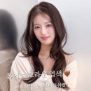 탈색없이 애쉬브라운 염색 분석 디자인 후기