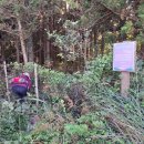 서강목장 이미지