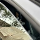 고령농장(2) | 고령에서 자고 성주에서 놀기 1탄