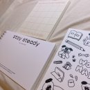 스테이 스테디 (STAY STEADY) 이미지