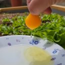 고림농장 이미지