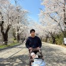 전주동물원 | 전주동물원 벚꽃 후기 🌸 아기랑 가기 좋은 봄 나들이