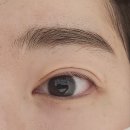 유비홀릭 이미지