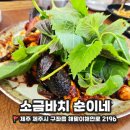 [제주도] 구좌읍 종달항 옆, 찐 돌문어~도민 맛집 만난 후기! &#39;소금바치 순이네&#39;