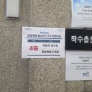 프로젝트7 | [해외봉사] KOICA 프로젝트 봉사단 7기 면접 후기