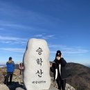 하단동171 이미지