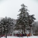 밀레 군산영동점 이미지