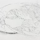 우리들수채화미술학원 이미지