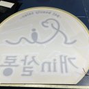 개 in 살롱 이미지