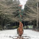 절물생태관리소 (절물자연휴양림) 이미지