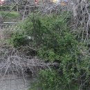 노랑통닭 방어점 | 부산 반려견동반 여행 2박3일 코스 (해운대 · 더펫텔 · 현실 저녁 후기)