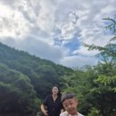 나비부화장 이미지