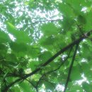 불광1-010 이미지