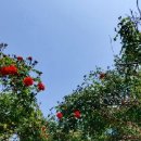 주창범치과의원 이미지