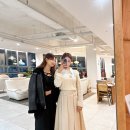 비브레이브 이미지