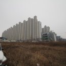 신기세천 이미지