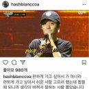 해쉴 이미지