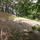 가야보건진료소 이미지