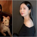 끼리끼리 이미지