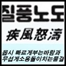 질풍노도(疾風怒濤) 이미지