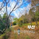 황령산유원지 생태숲 이미지