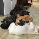 옹기종기 이미지