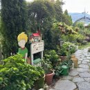 정원카페 이미지