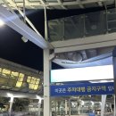 치킨마루 지산신장점 | 일본 시즈오카 1박 2일 여행기 (말차와 와사비)