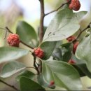 하마캠핑장 이미지