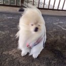 로사펜션 이미지