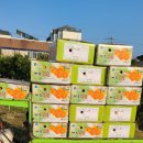 정인농장 이미지